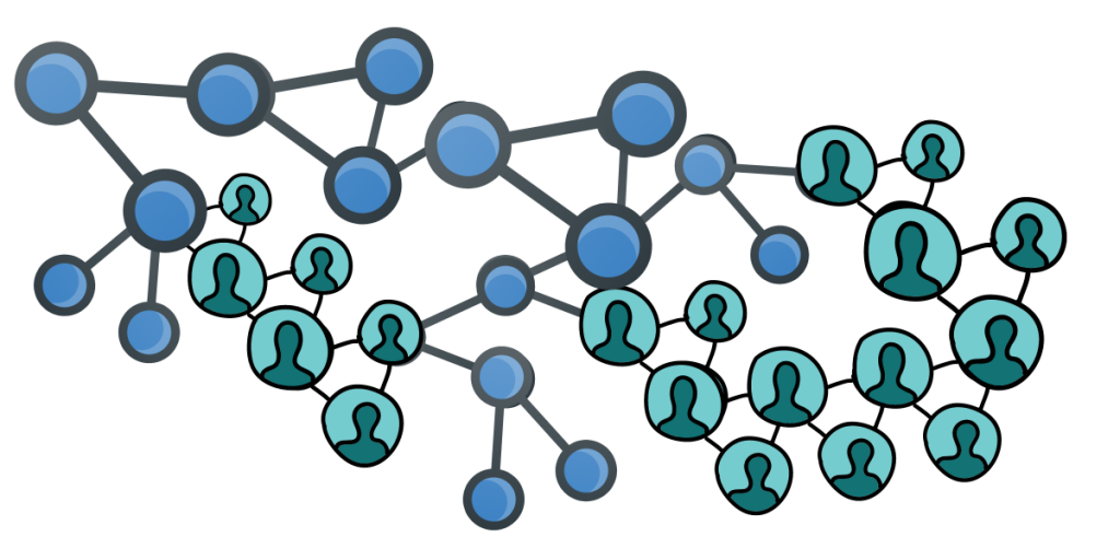 taksonomia sieci