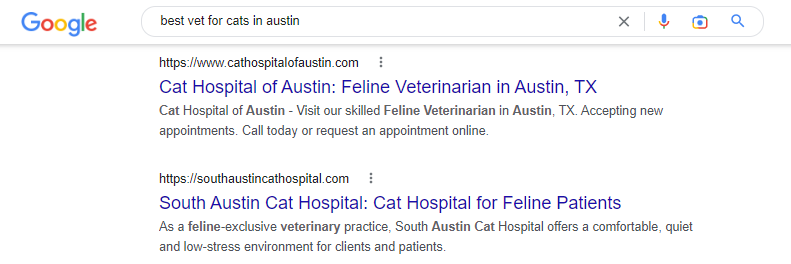 najlepszy weterynarz dla kotów w Austin